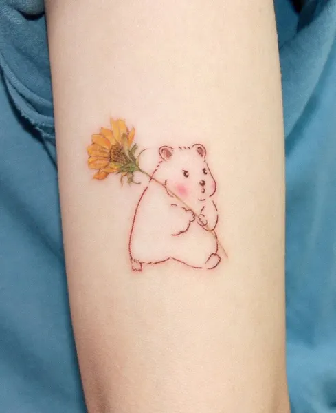 곰, 코알라