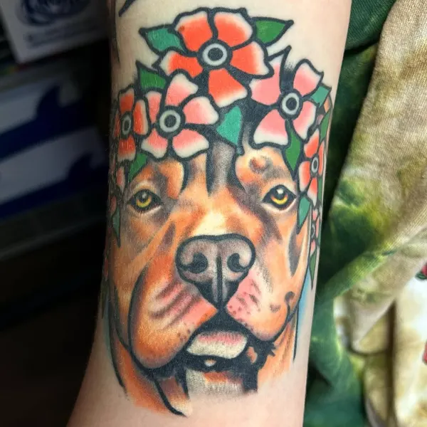 Animal, Tiger