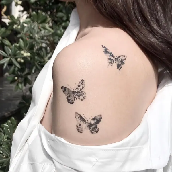 Animal, Nature, 동백꽃