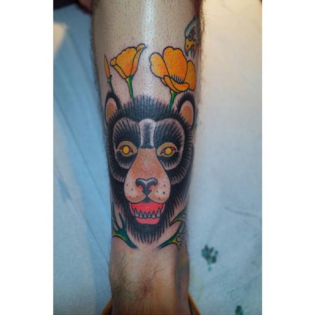 Animal, Tiger