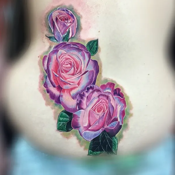 Rose, Flower