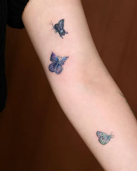 Animal, Nature, 나비