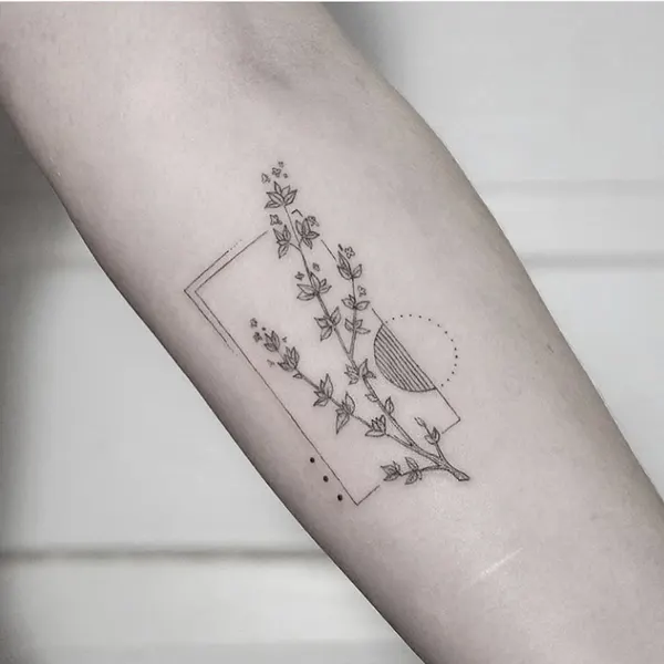 책, 캐리어