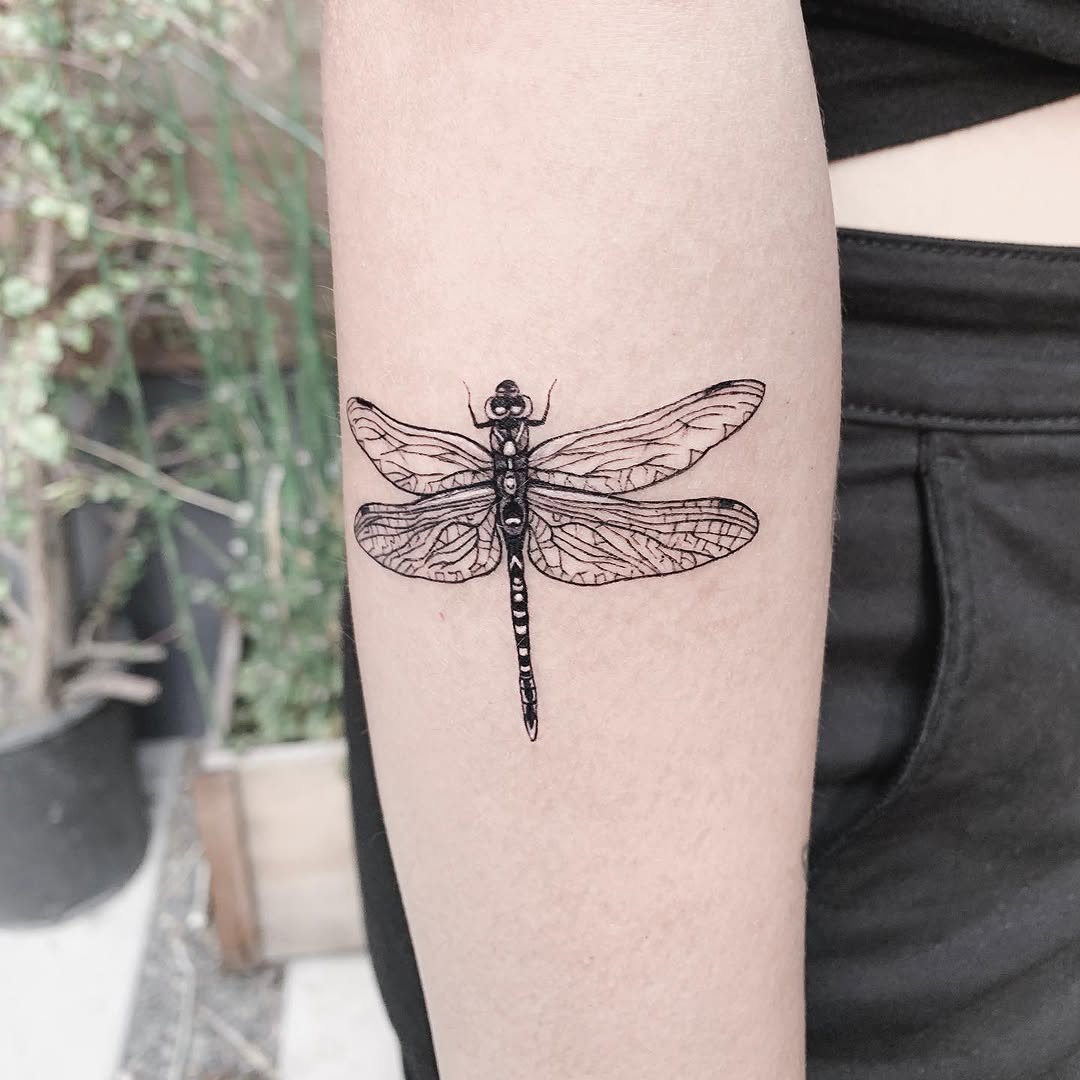 벌, Nature, Animal, 매미, 잠자리