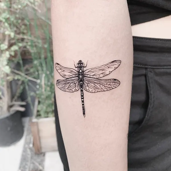 벌, Nature, Animal, 매미, 잠자리