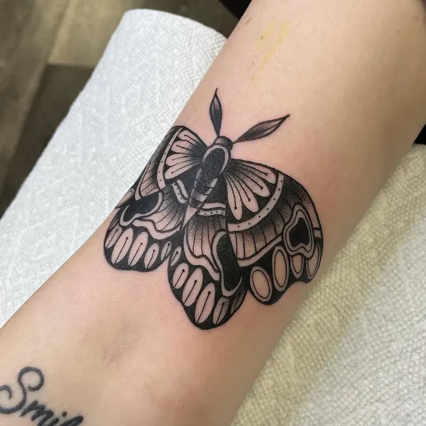 Animal, Nature