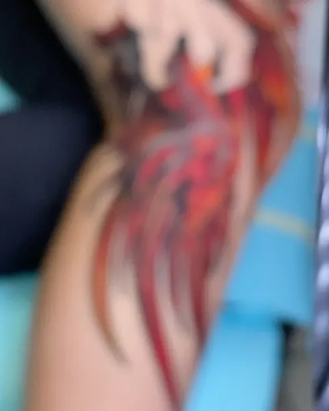 Dragon, 불사조