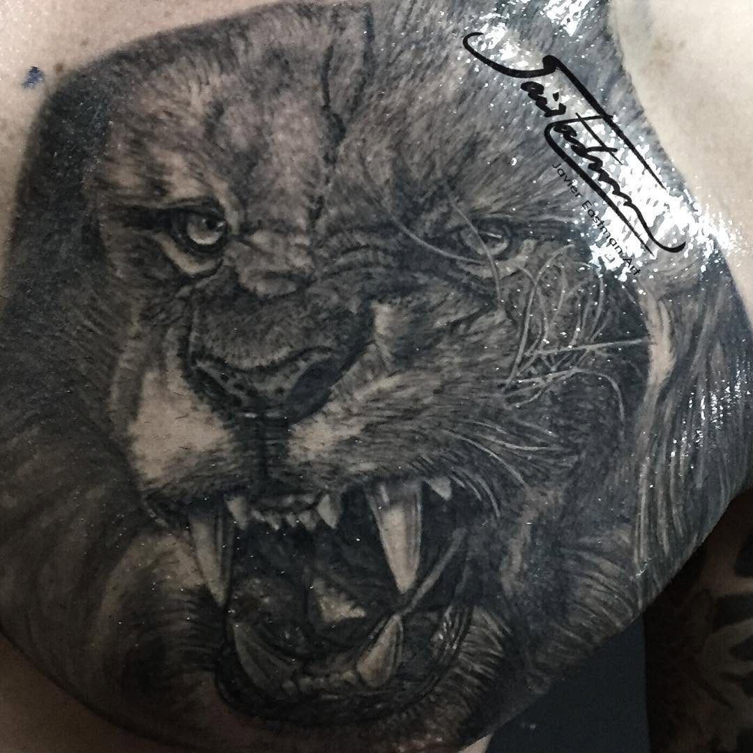 Tiger, 팬서