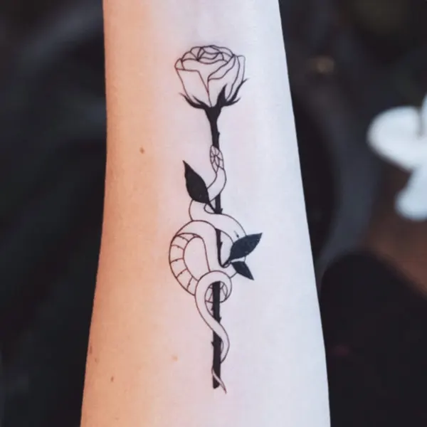 Flower, Rose