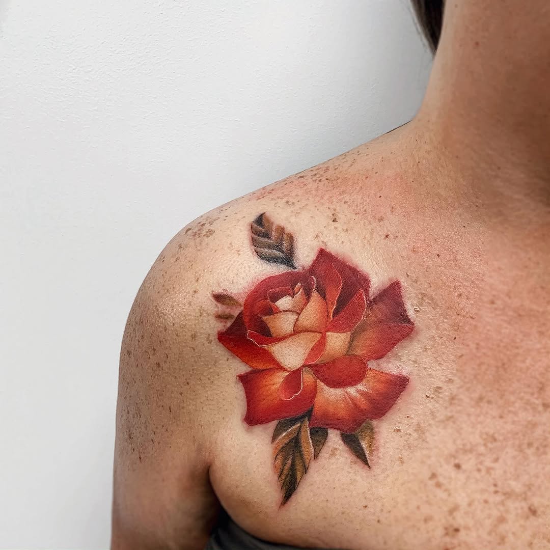 모란, 목련, 백합, Flower, Rose, Nature, 연꽃, 국화, 튤립, 탄생화, 히비스커스, 난초