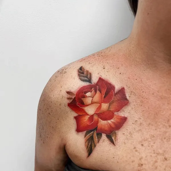 모란, 목련, 백합, Flower, Rose, Nature, 연꽃, 국화, 튤립, 탄생화, 히비스커스, 난초