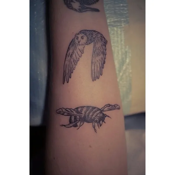 Animal