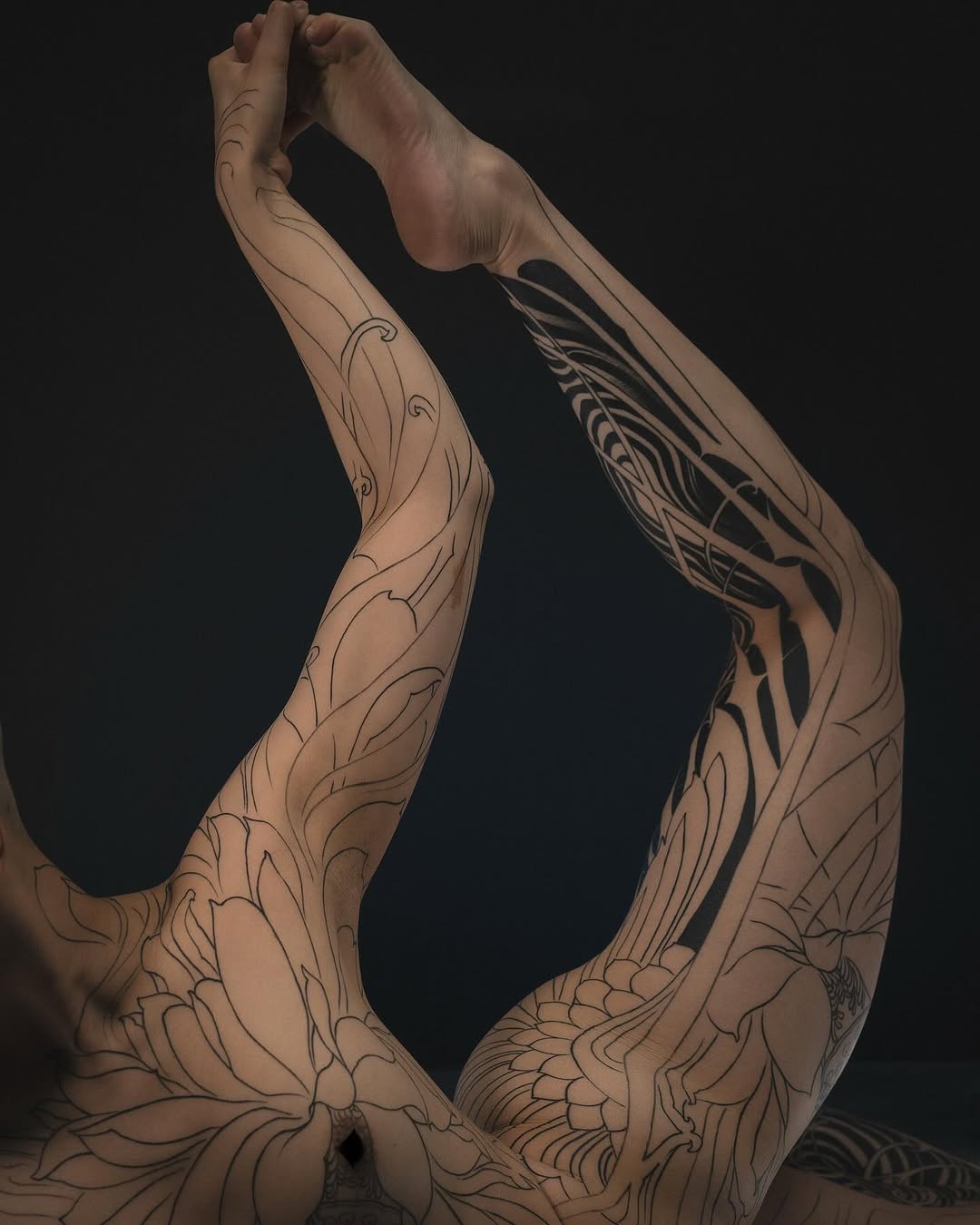fibs_
