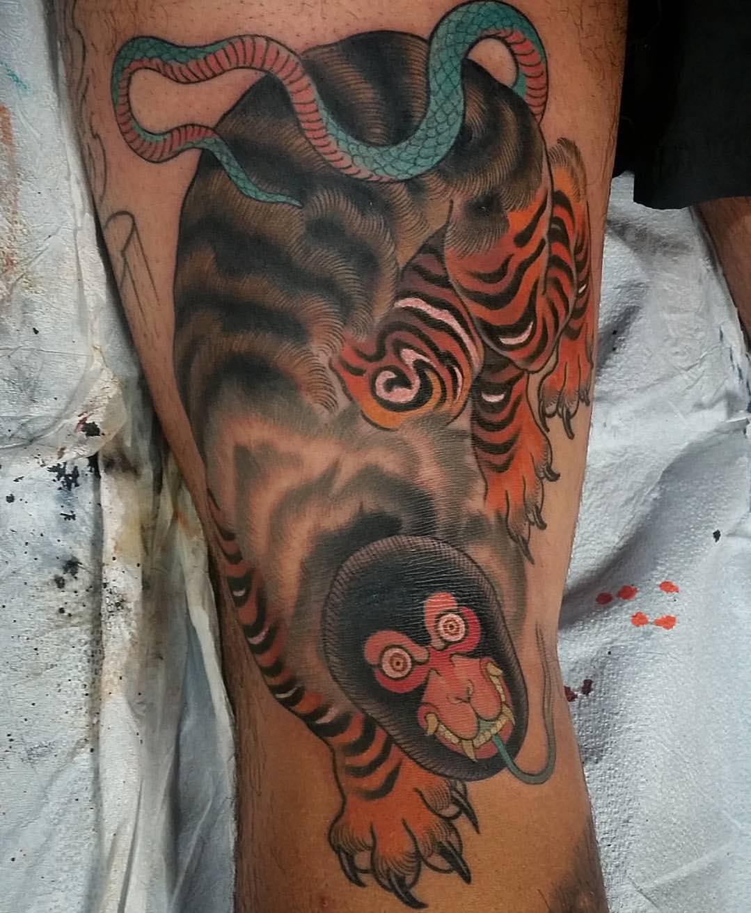 Tiger, 일본 호랑이, 한국 호랑이