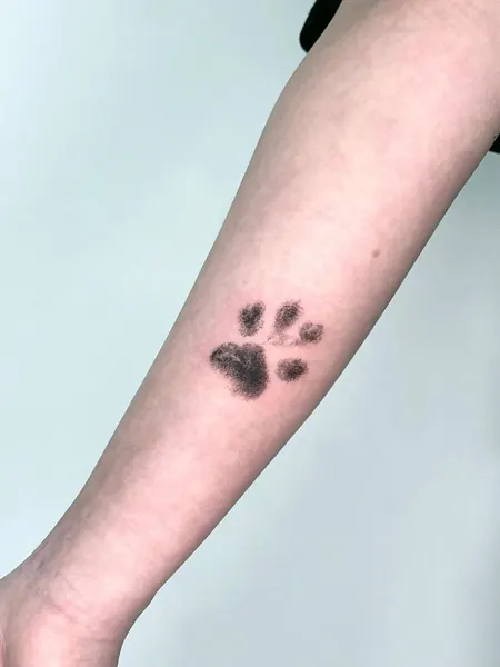Animal, 발자국