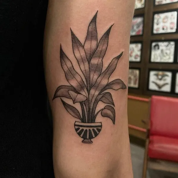 Flower, 선인장