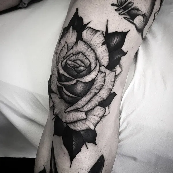 Flower, Rose