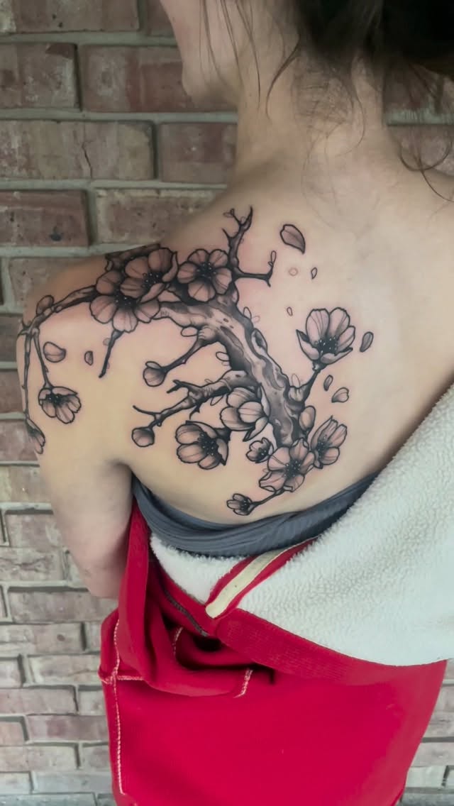 매화, Flower, Nature, Rose, 벚꽃