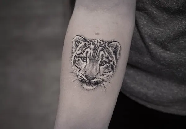 Animal, 치타, 표범, 재규어