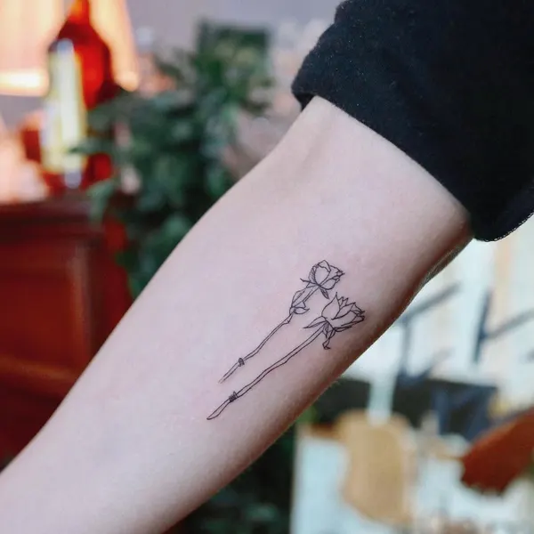 Flower, Rose