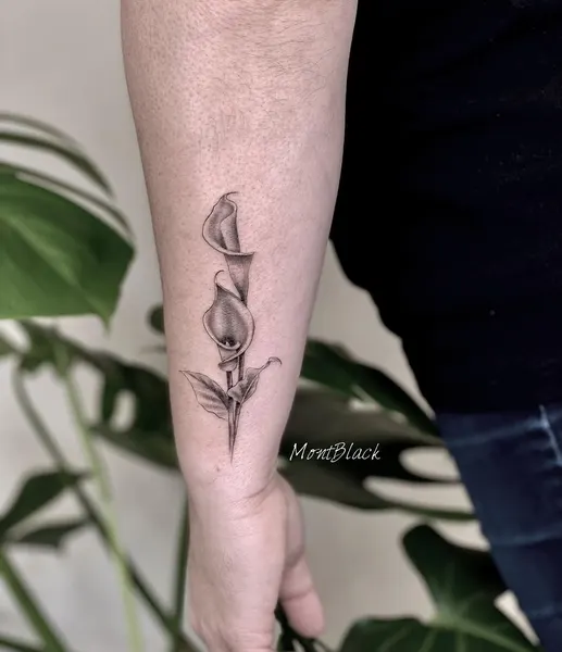 Flower, Rose, 덩굴, 허브, 고사리, 나뭇가지, 올리브 가지, Nature, 뿌리, 대나무, 은행잎, 카네이션