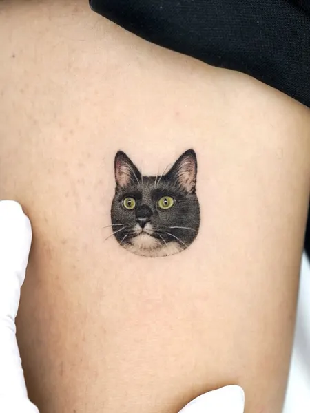 텐구, 함사, 고양이, 반려동물, 마네키네코, 여우 가면