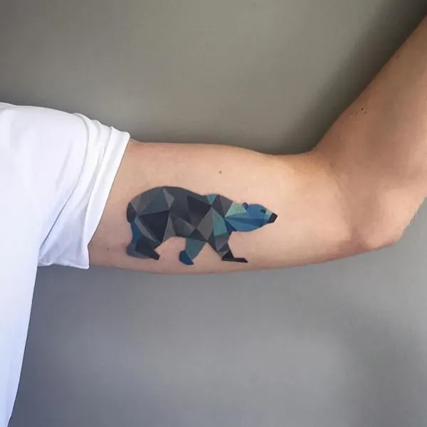 Animal, 멧돼지, 나무늘보, 코끼리, 코알라