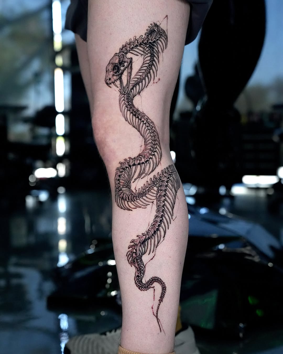 Dragon