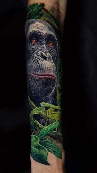 Tiger, Animal, 원숭이