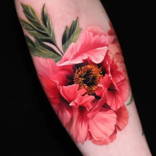 Flower, Rose, 양귀비