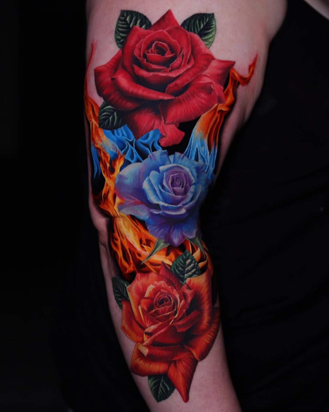 Rose, Flower