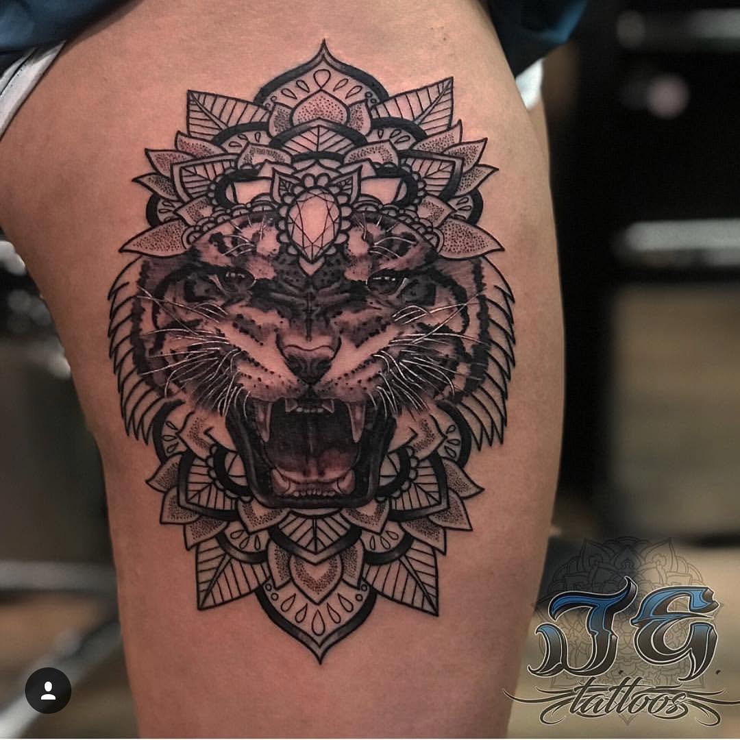 Tiger, Animal
