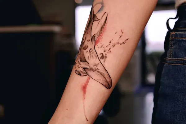 anthony_tatts