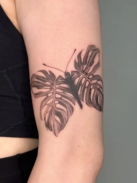 Animal, Nature, Flower