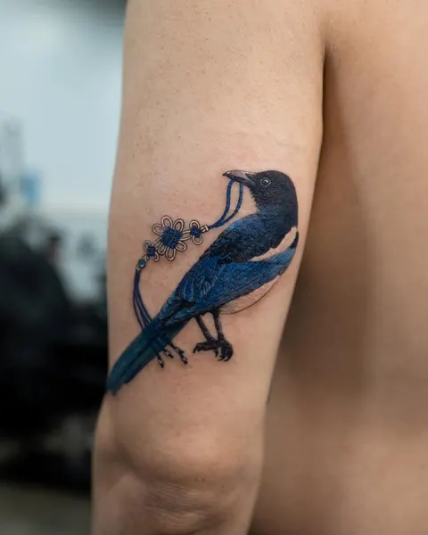 Animal, 펭귄