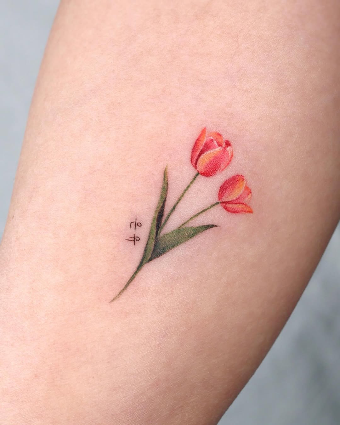 Flower, 튤립