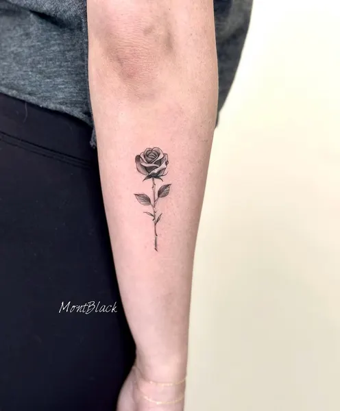 Flower, Rose