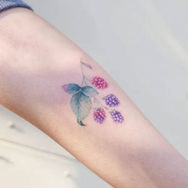 수국, 덩굴, Flower, Rose, 매화, 포도, 벚꽃, 라벤더