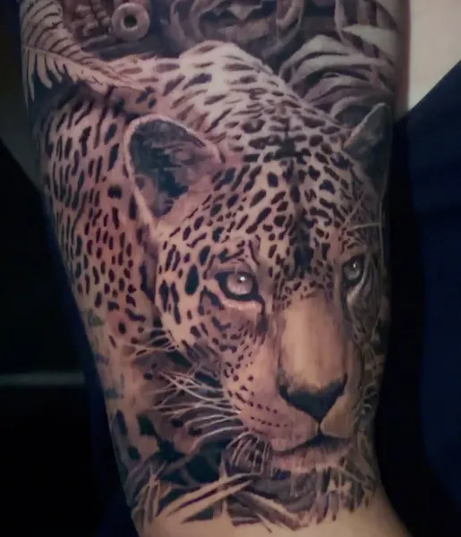 Animal