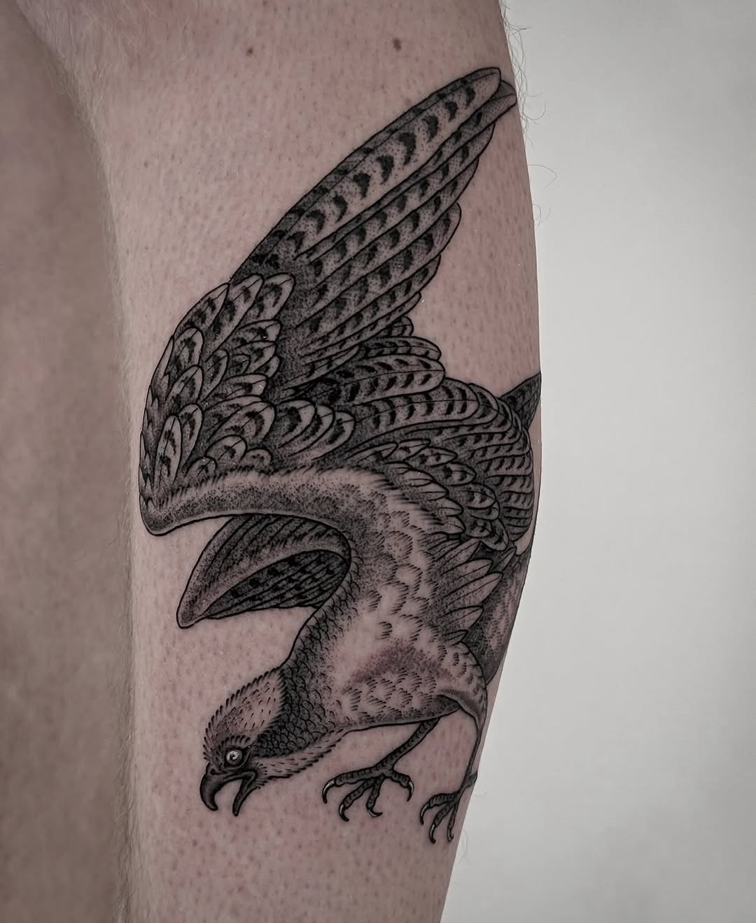 Full Circle Tattoo