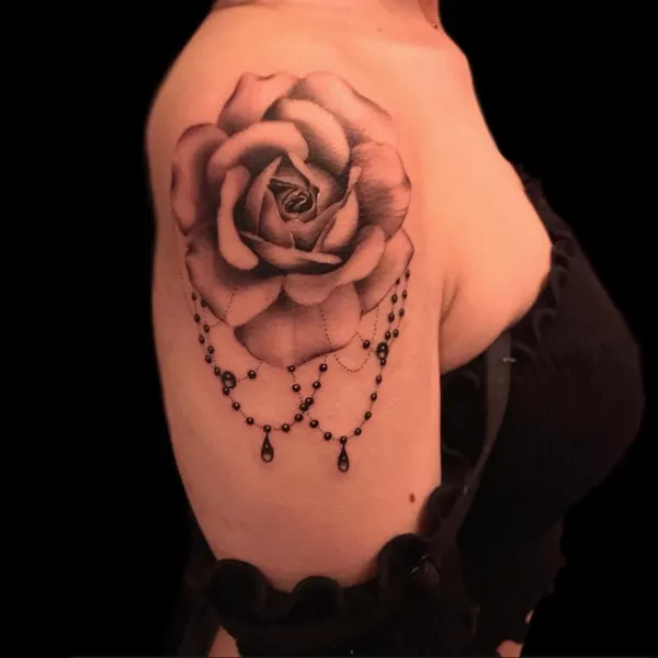 Flower, Rose, Nature