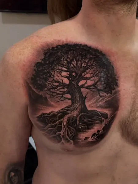 Nature, 뿌리, 폐, 나무, 덩굴, 소나무