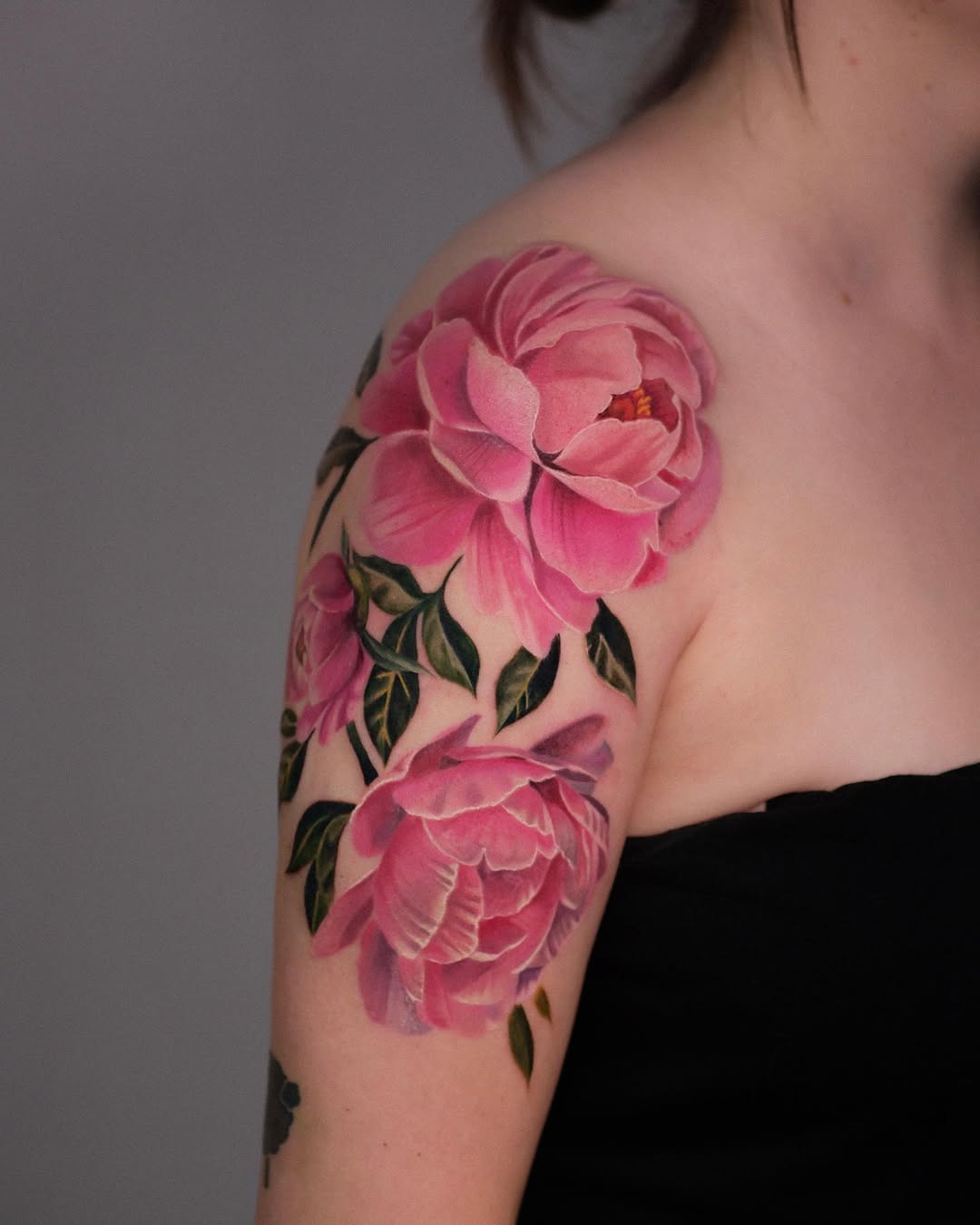Flower, Rose, Nature