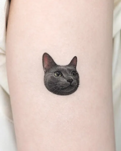 고양이