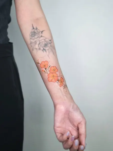 Flower, 꽃다발, 매화, 양귀비, 꽃 배경
