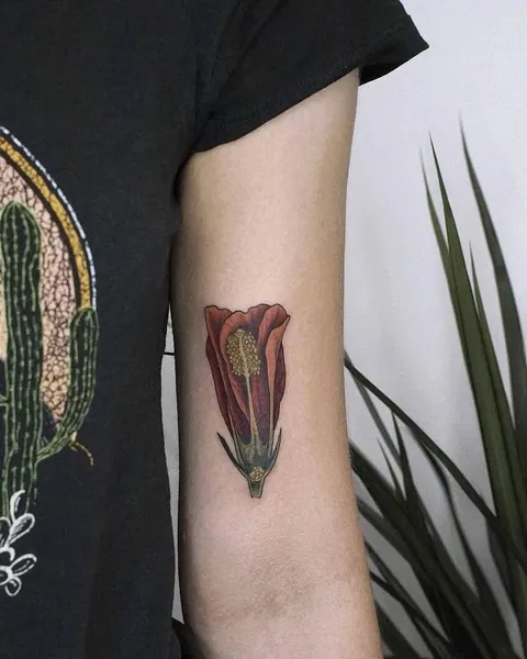 Flower, Rose, Nature
