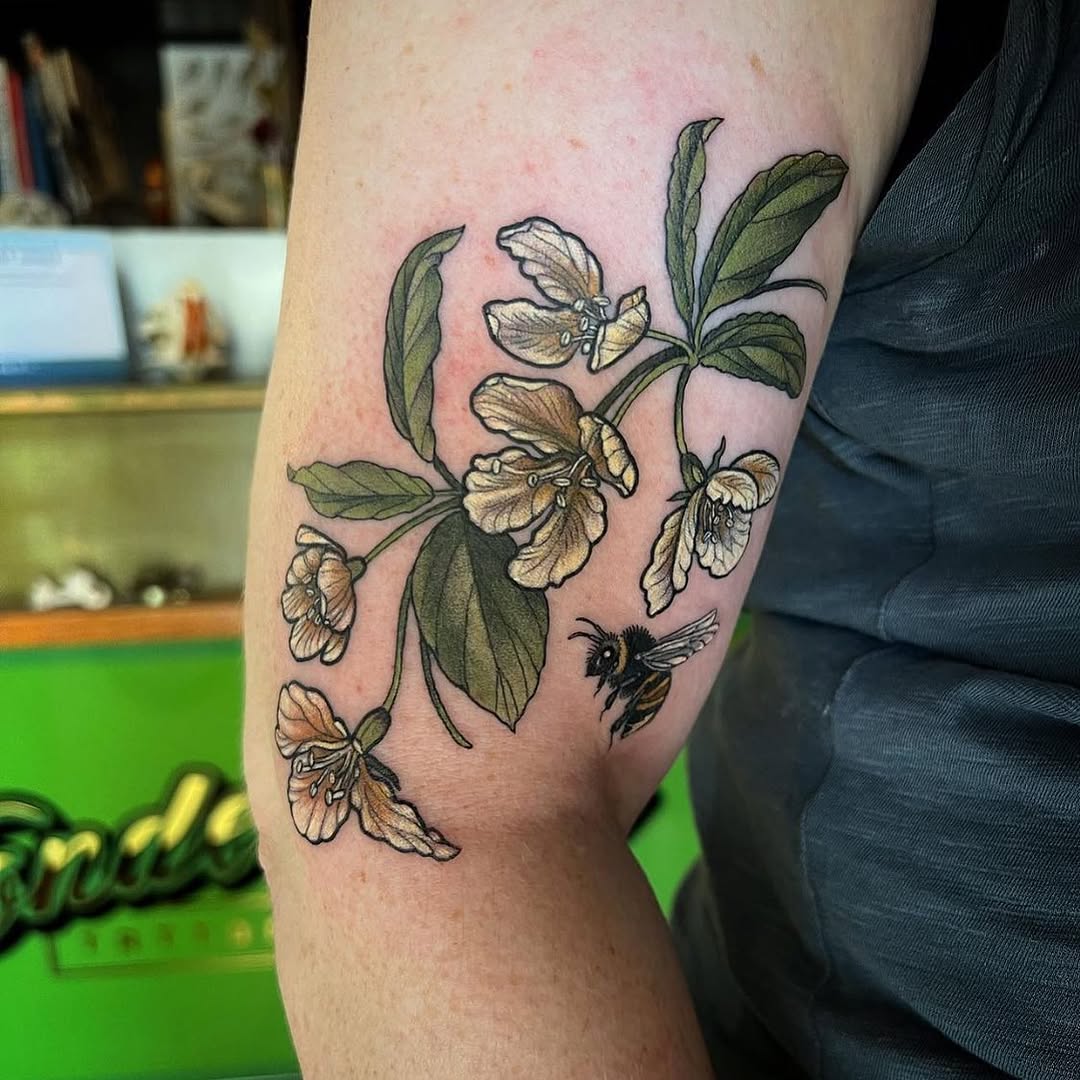 Flower, Rose