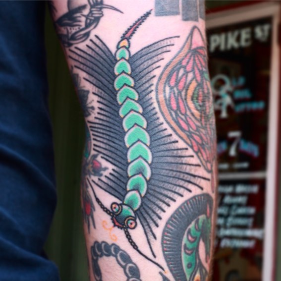 Dragon