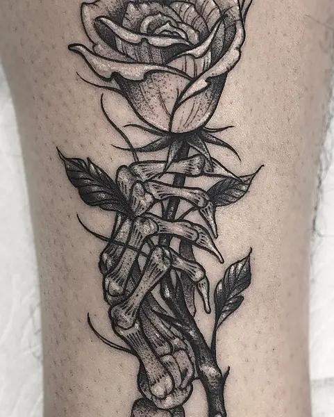 Flower, Rose