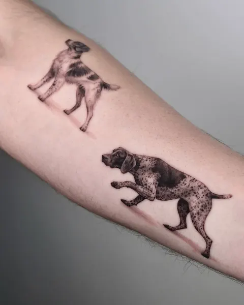 Animal